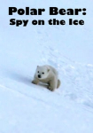 Polar Bear: Spy on the Ice