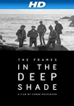 The Frames: In the Deep Shade